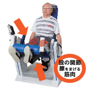 レッグエクステンション・カール